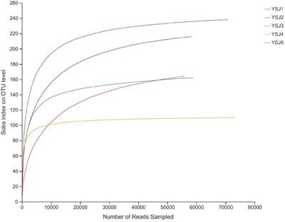 Determination of Community Structure and Diversity of Seed-Vectored Endophytic Fungi in Alpinia zerumbet